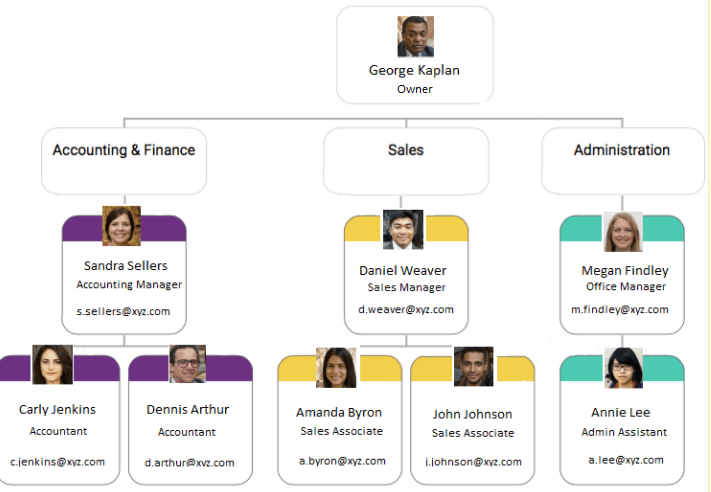 Company organizational chart with George Kaplan as Owner and three departments
