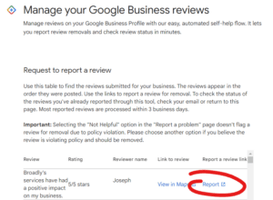 Google Business review management interface with report review options