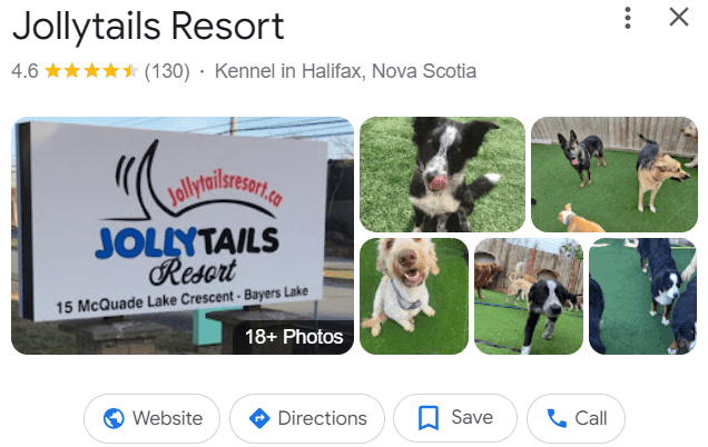 Jollytails Resort kennel listing with 4.6-star rating and photos of dogs on grass