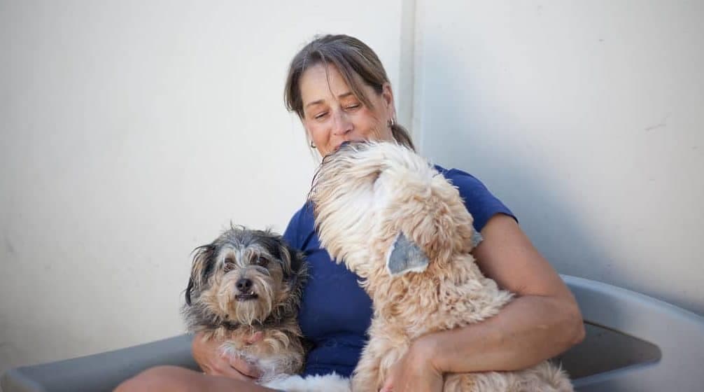 Woman in blue shirt holding a small tan dog and light-colored fluffy dog