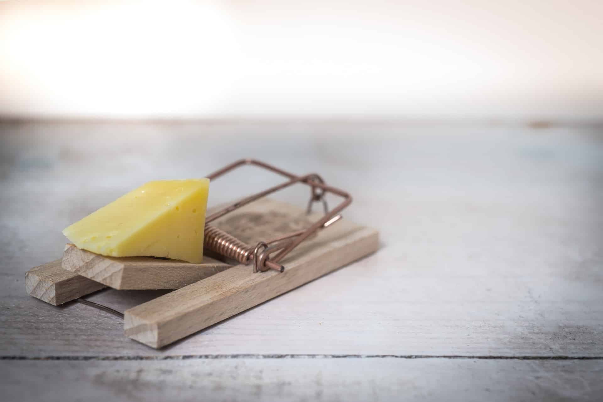 Wedge of cheese set as bait on a wooden mousetrap on a wood surface