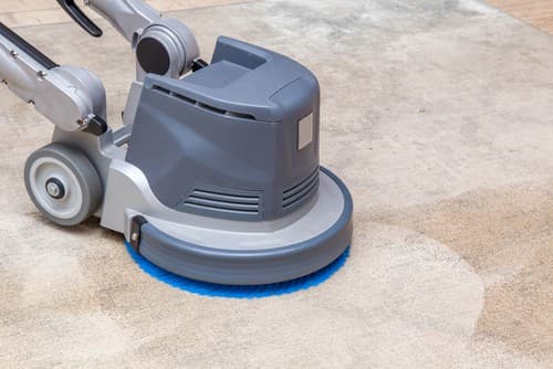 Rotary floor machine with blue bonnet pad cleaning a tan carpet