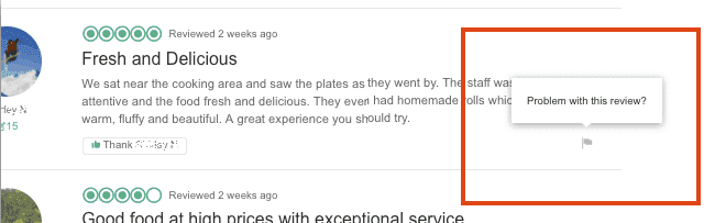 TripAdvisor review list with a callout highlighting the 'Problem with this review?' report link