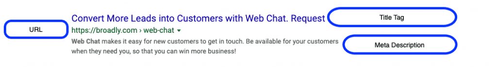 Search snippet components including URL, Title Tag, and Meta Description