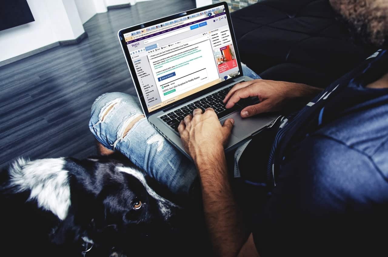 Person in ripped jeans on a couch, laptop on lap showing a Yahoo Mail inbox, black-and-white dog resting beside them