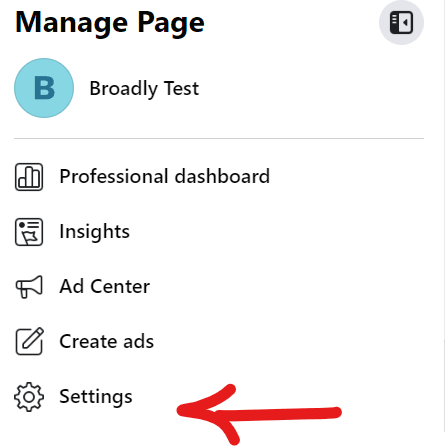 Facebook Manage Page menu with Professional dashboard, Insights, Ad Center, and Settings
