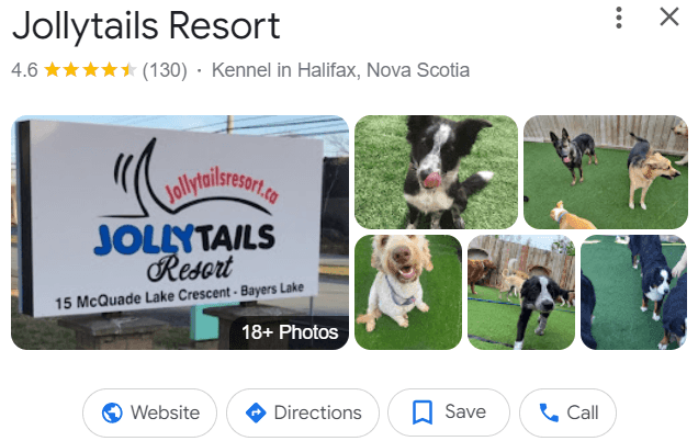 Jollytails Resort kennel listing with 4.6-star rating and photos of dogs on grass