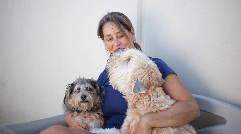 Woman in blue shirt holding a small tan dog and light-colored fluffy dog
