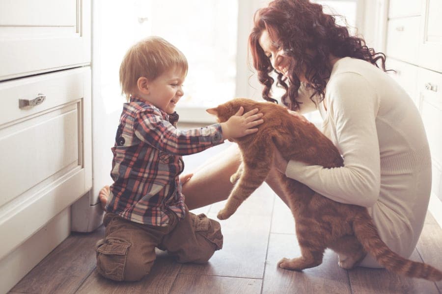 Woman and child petting a brown cat in a bright kitchen