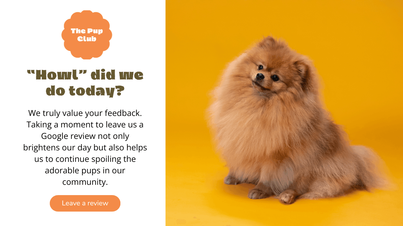 The Pup Club review-request page with a fluffy Pomeranian and a Leave a Review button