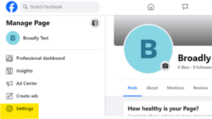 Facebook Manage Page interface showing menu options including Professional dashboard, Insights, and Ad Center