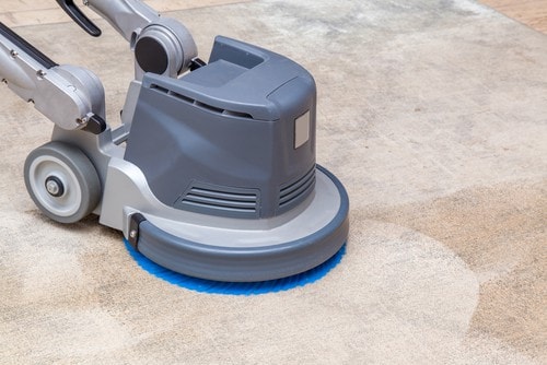 Rotary floor machine with blue bonnet pad cleaning a tan carpet