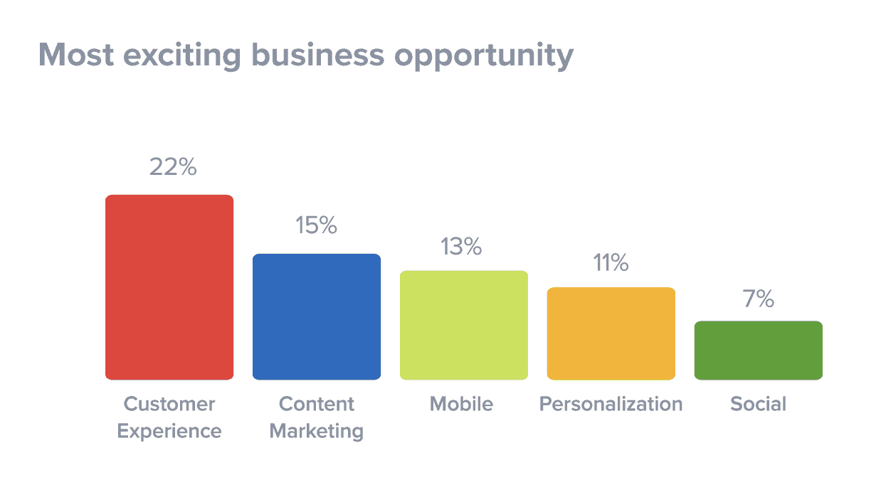 Bar chart of business opportunities: Customer Experience 22%, Content Marketing 15%, Mobile 13%