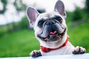 small business help